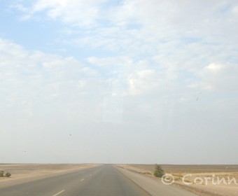 On the road. Foto: cku