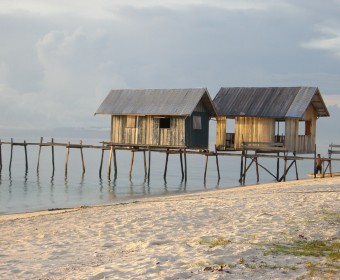 Auf Pom Pom, einer winzigen Insel vor der Küste Borneos. Foto: cku