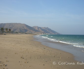 CIMG0009