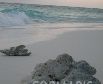 Foto: cku