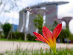 Marina Bay Sands. Foto: cku