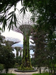 Gardens by the bay. Foto: cku