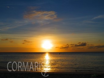 Zum Abend ein bisschen Foto-Romantik. Foto: cku