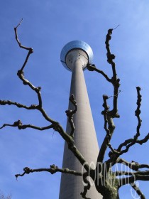 Der Rheinturm. Von fast überall zu sehen. Foto: cku