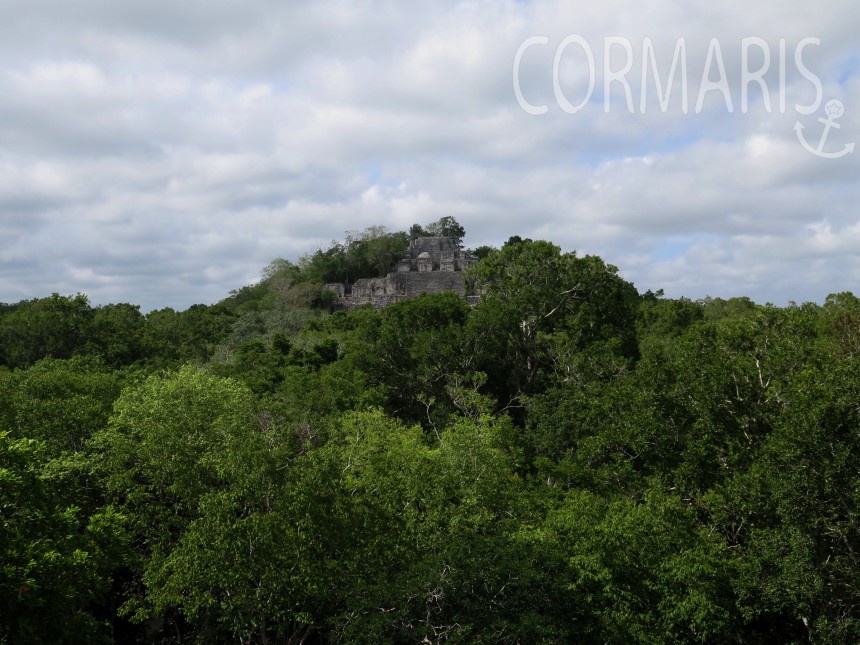 Mitten im Dschungel: Maya-Pyramiden von Calakmul. Foto: cku