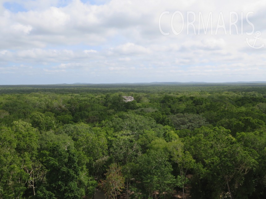 Erst auf die Pyramiden klettern, dann über die Weite staunen: Calakmul. Foto: cku