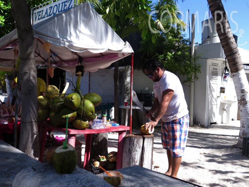 Coconut, anyone? Foto: cku