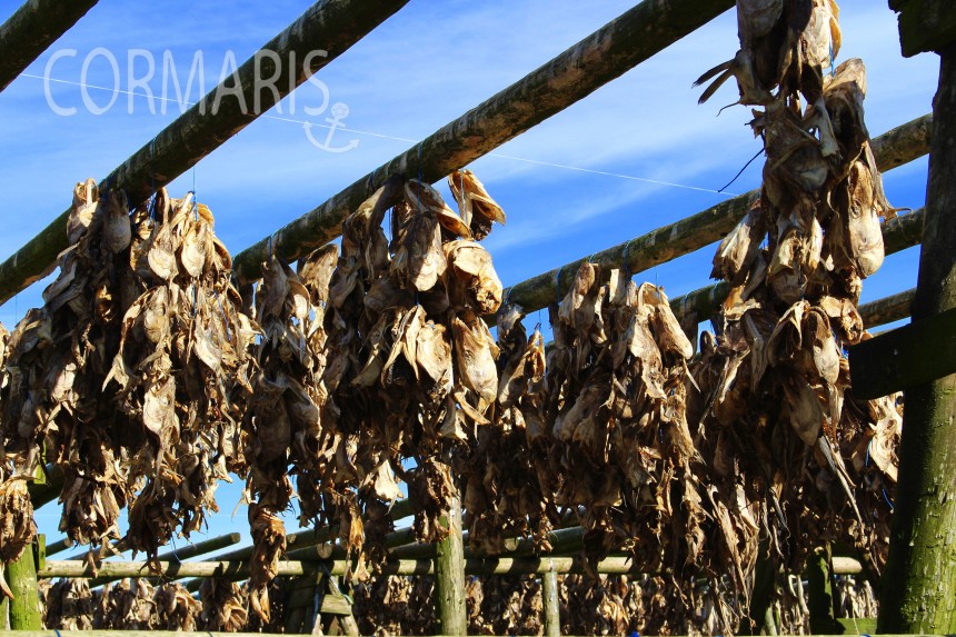 Stockfisch-Trockenstation. Foto: cku