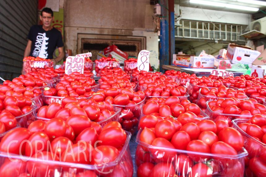 Tomaten auf dem Kammel-Markt von Tel Aviv. Foto: cku